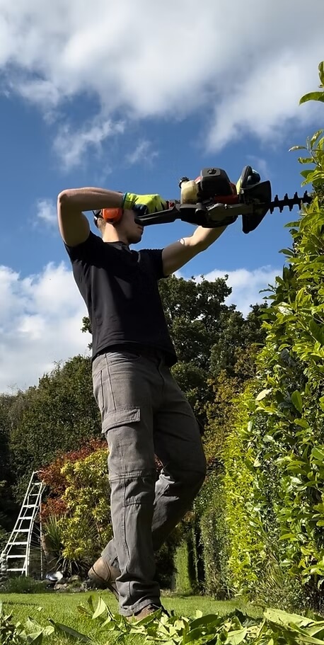 Hedge Cutting Service