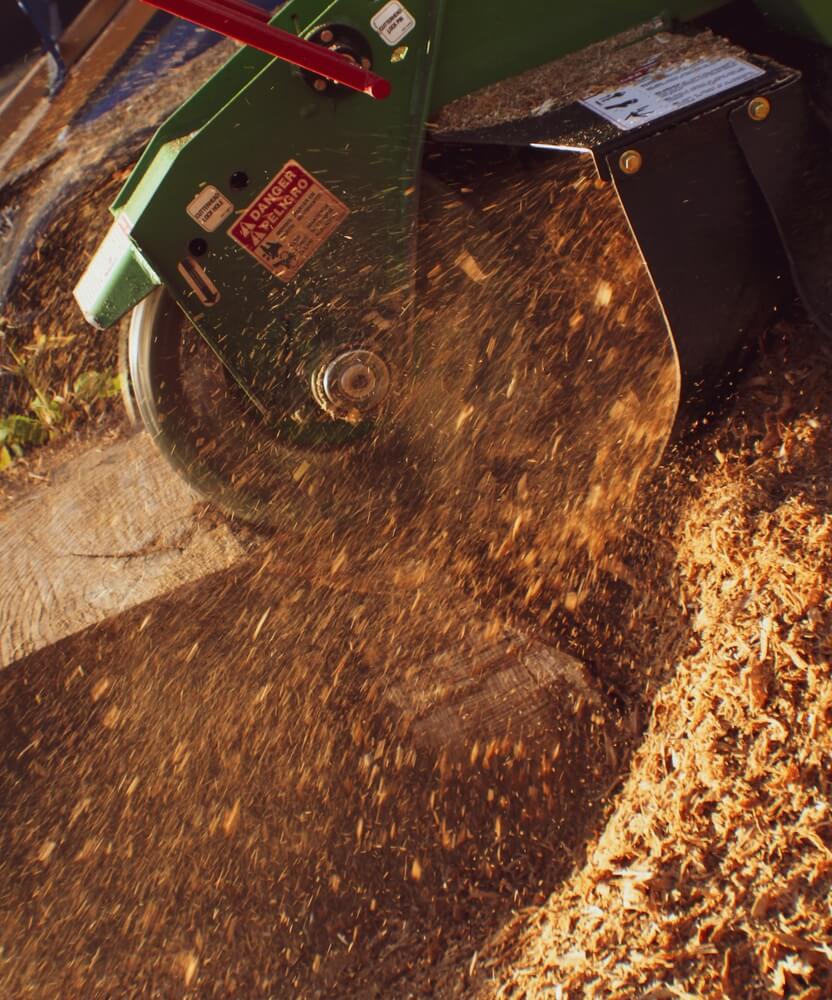 Stump Grinding Service