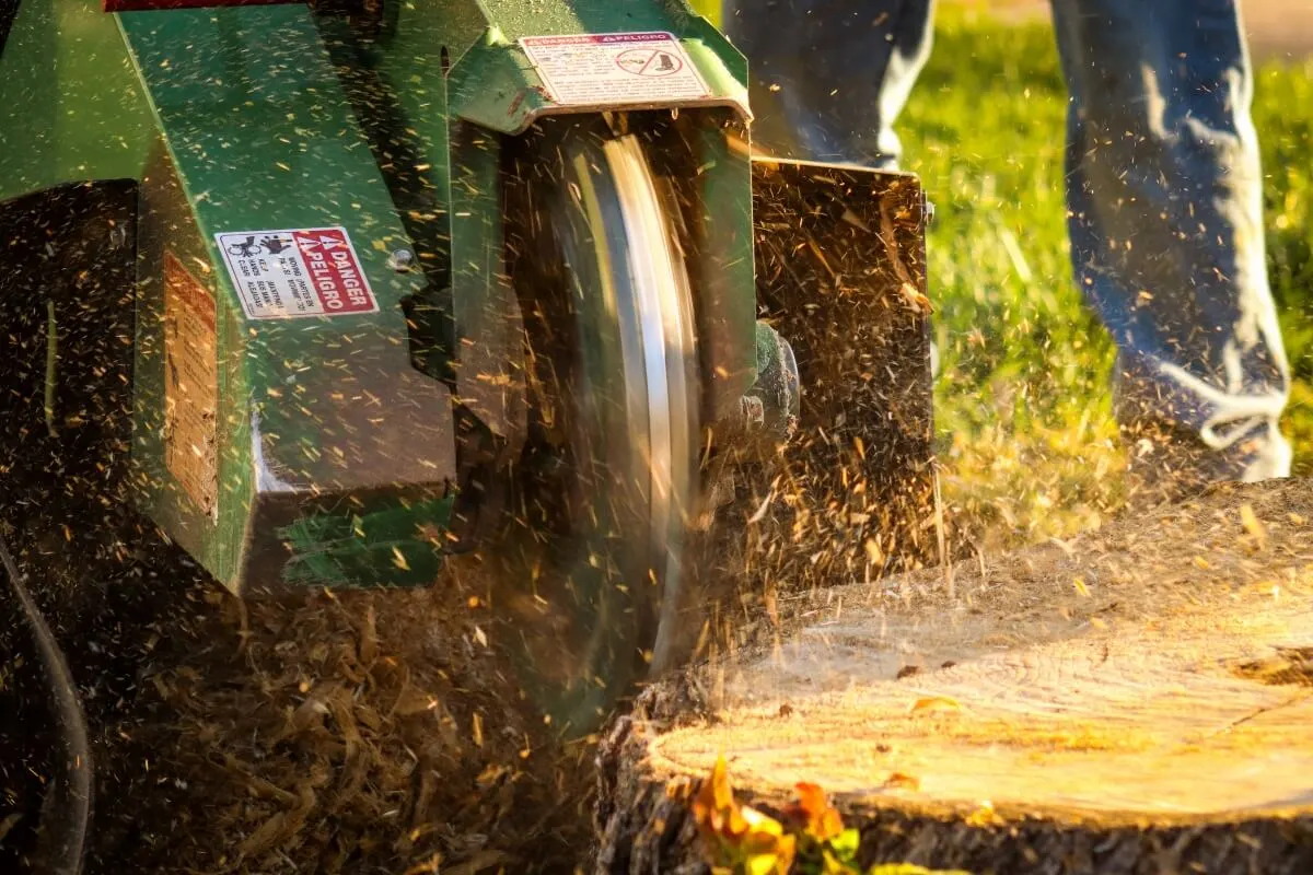 Stump Grinding